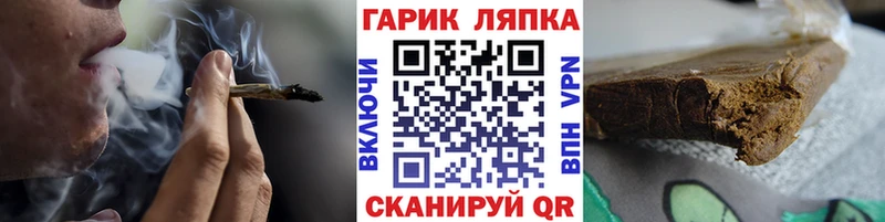 ГАШ Premium  Суджа 