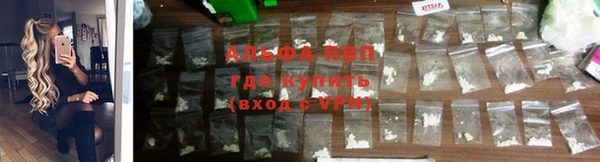 шишки Алзамай