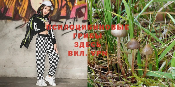марки lsd Арсеньев