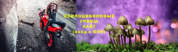 эйфоретик Каменногорск