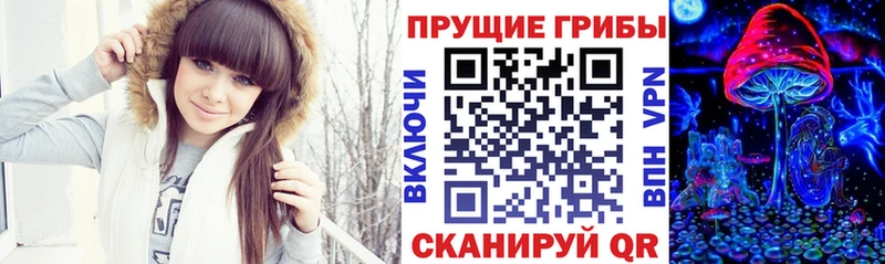 Галлюциногенные грибы Psilocybine cubensis  Суджа 