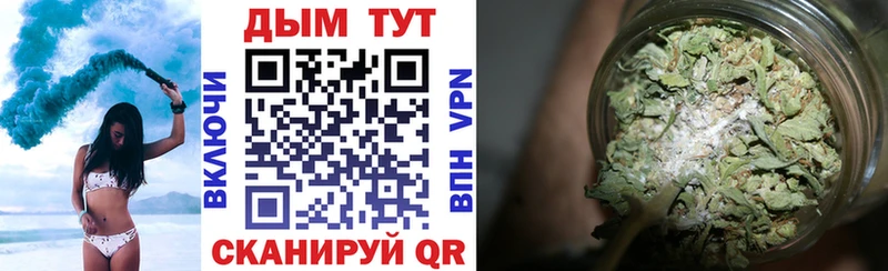 Конопля Ganja  Суджа 